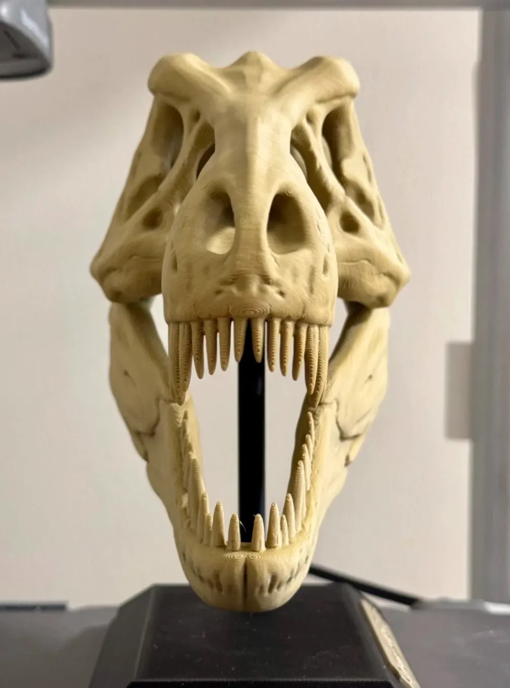 3D printed dinosaur skull model made with Bambu Lab PLA Wood Classic Birch filament showing natural wood-like texture