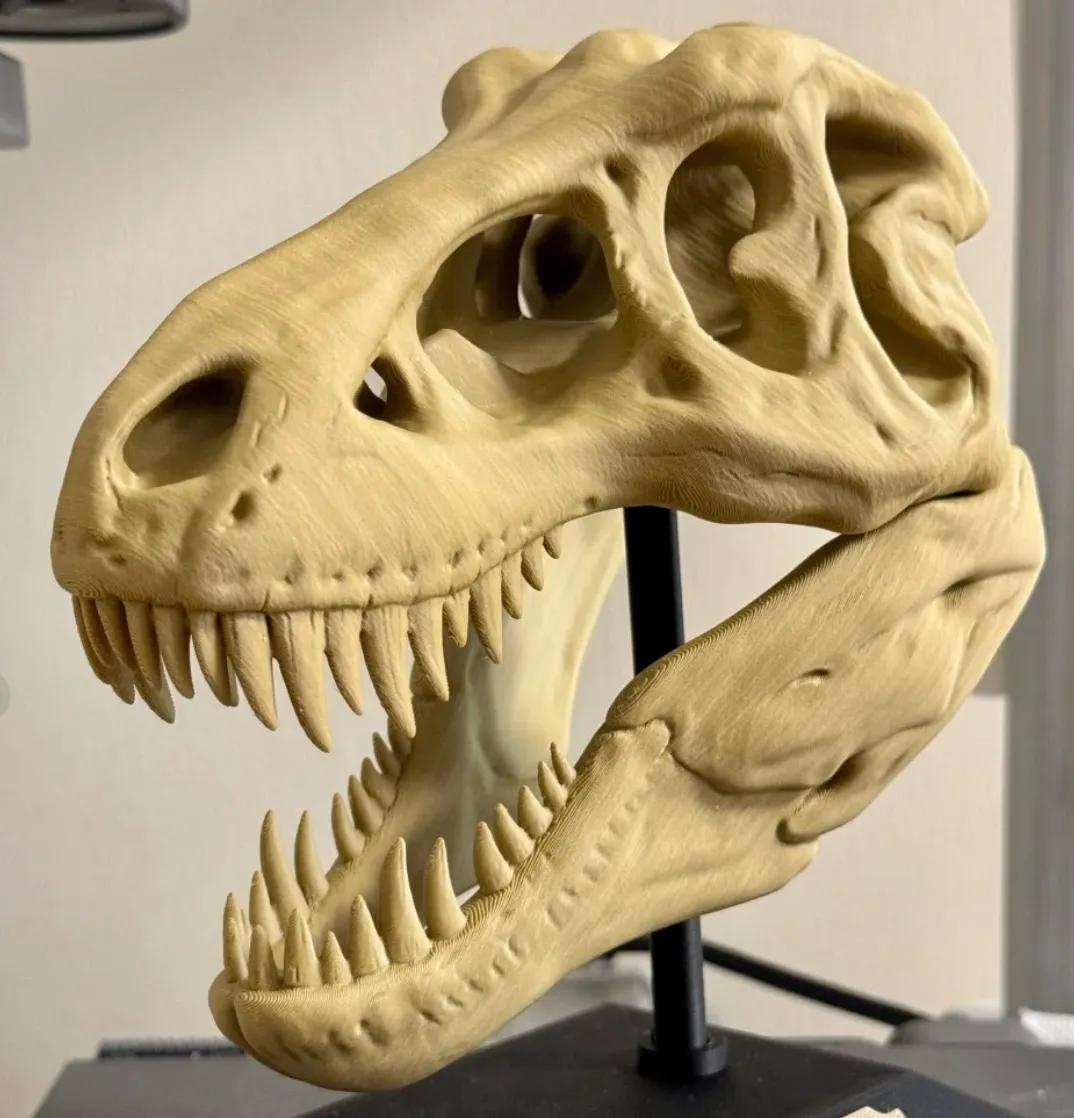 Side view of dinosaur skull 3D printed with Bambu Lab PLA Wood Classic Birch filament showing fine wood texture details