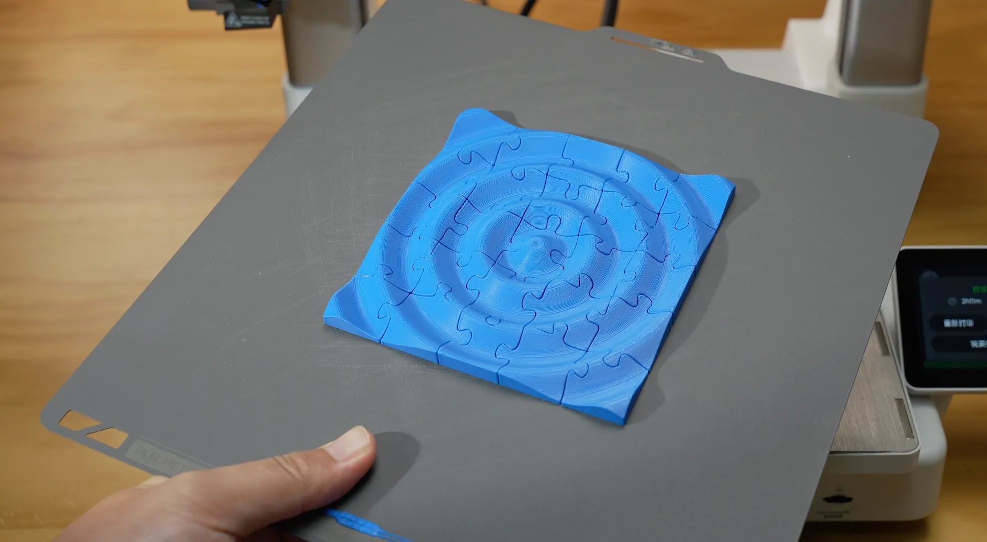 flexible magnetic build plate bending to remove blue 3D printed model easily