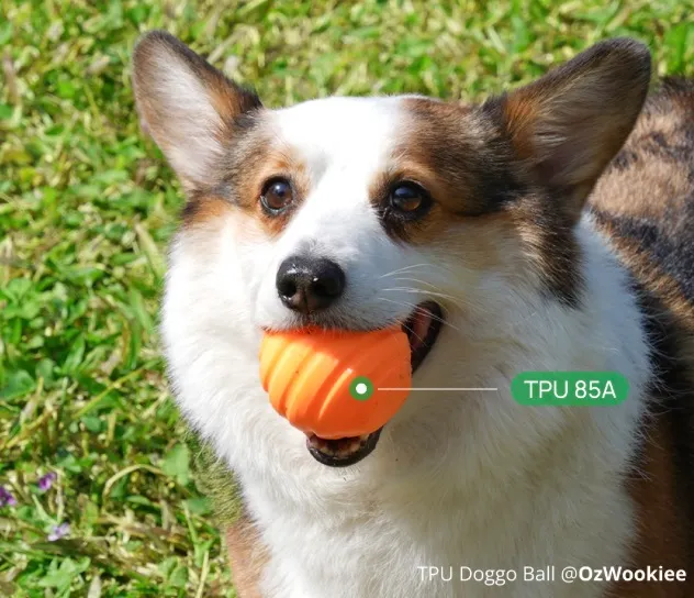 corgi dog holding an orange 3D printed ball made with TPU 85A filament